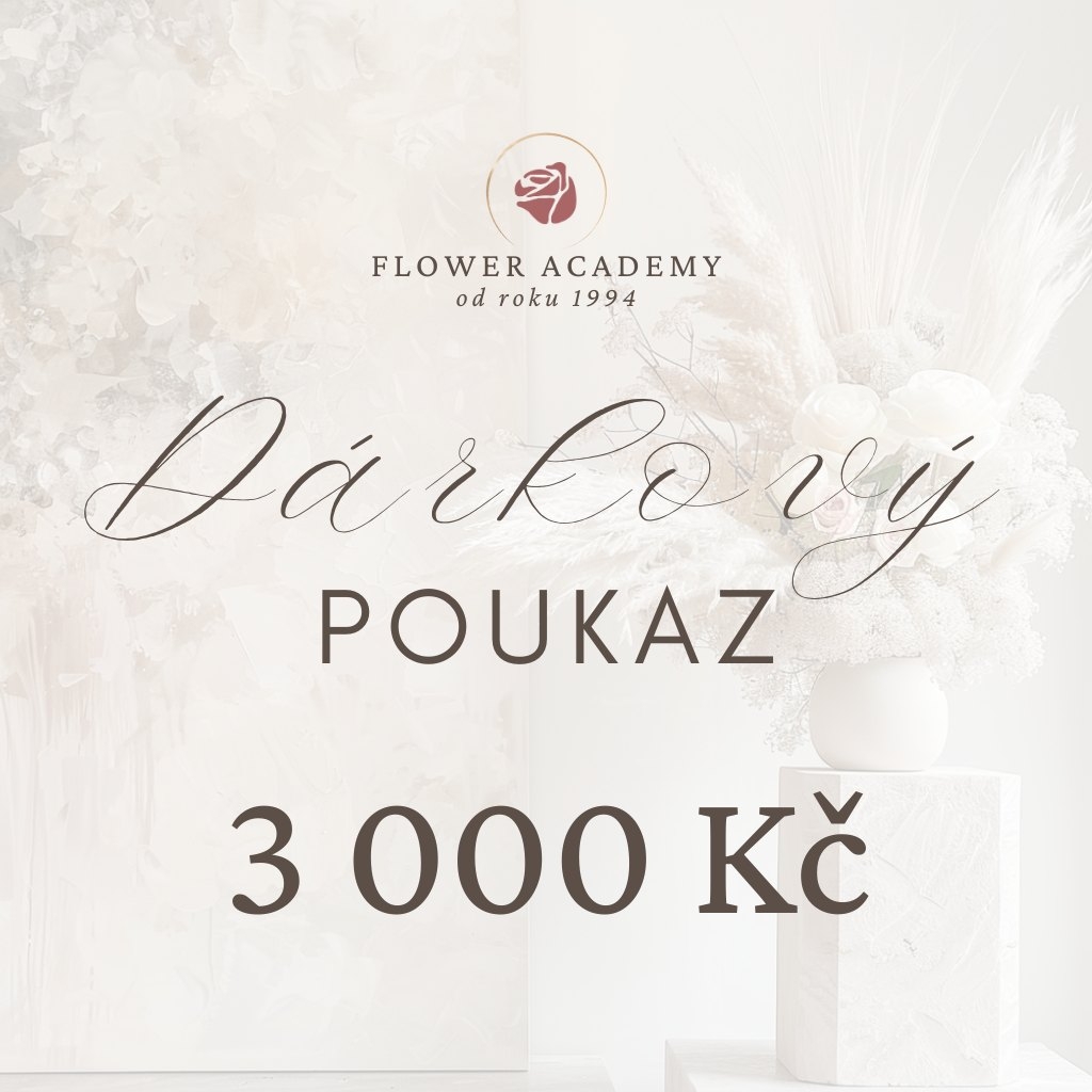 Dárkový poukaz v hodnotě 3000 Kč