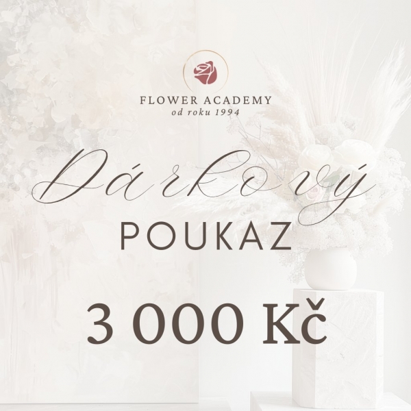 Dárkový poukaz v hodnotě 3000 Kč