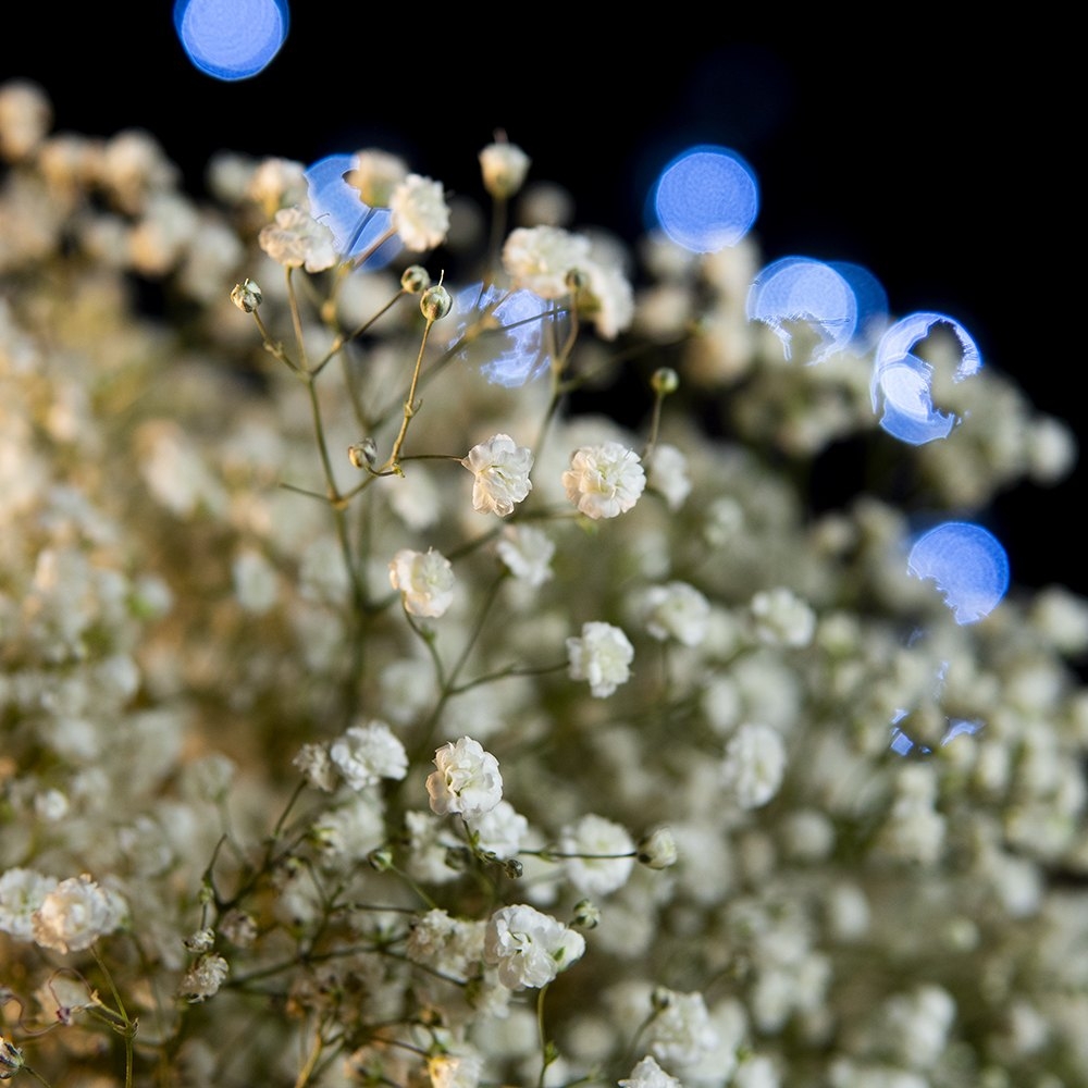 Minimalistická svatební kytice z gypsophily – videokkurz