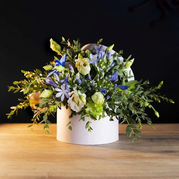 Květinové boxy, Ostrava, 4. 9. 2024