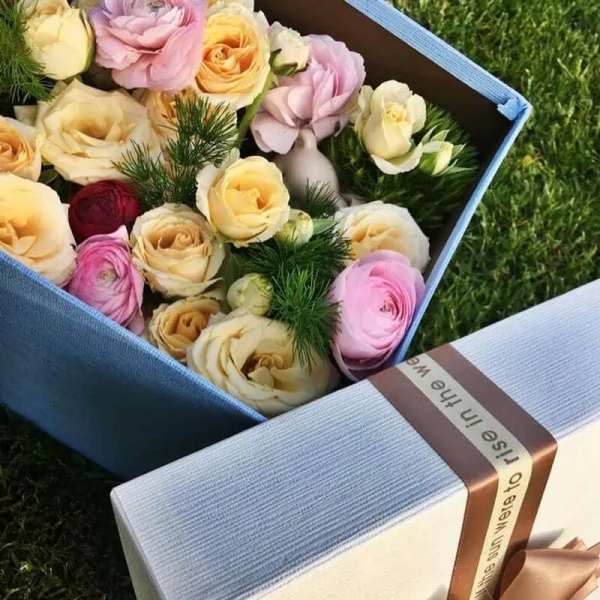 Květinové boxy, Ostrava, 4. 9. 2024