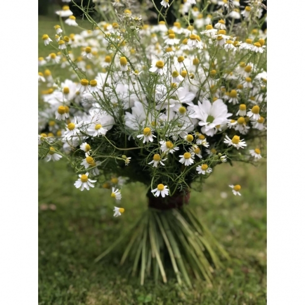 Rekvalifikační kurz Florista – úroveň ČELEDÍN, Brno, 2. 2. - 18. 2. 2026