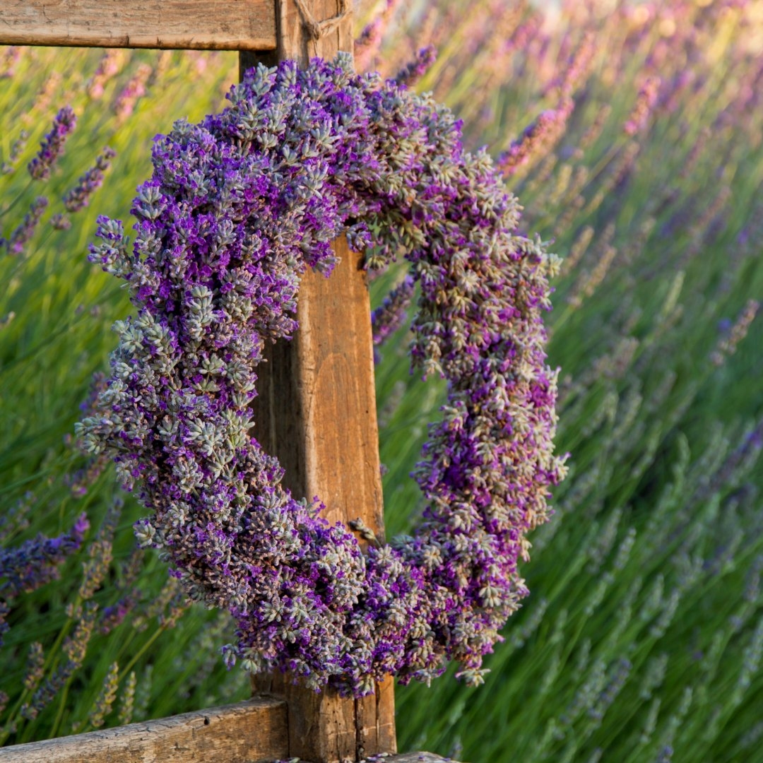 Letní věnec na dveře, Ostrava, 13. 6. 2024