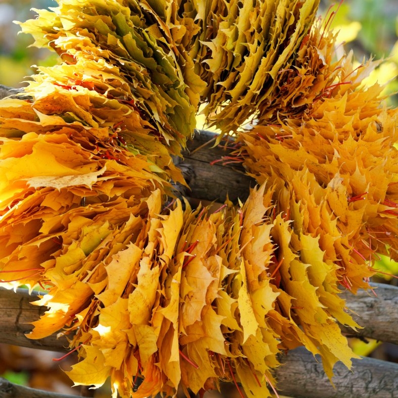 Podzimní věnec na dveře, Ostrava, 24. 9. 2024