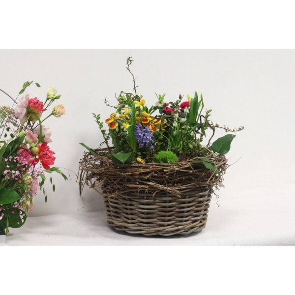 Rekvalifikační kurz Florista – úroveň ČELEDÍN, Brno, 9. 11. - 25. 11. 2026