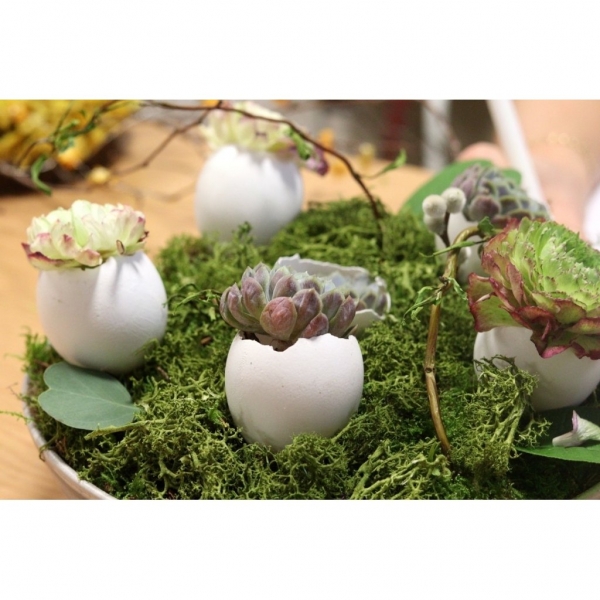 Rekvalifikační kurz Florista – úroveň ČELEDÍN, Ostrava, 13. 4. - 30. 4. 2026