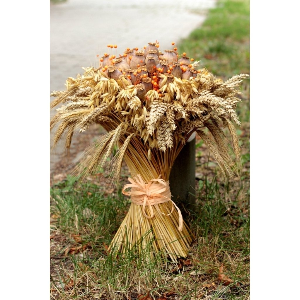 Rekvalifikační kurz Florista – úroveň ČELEDÍN, Brno, 1. 6. - 17. 6. 2026