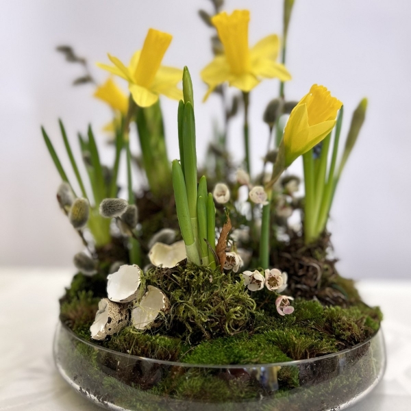 Kurz aranžování živých květin do nádoby, Ostrava, 30. 4. 2024