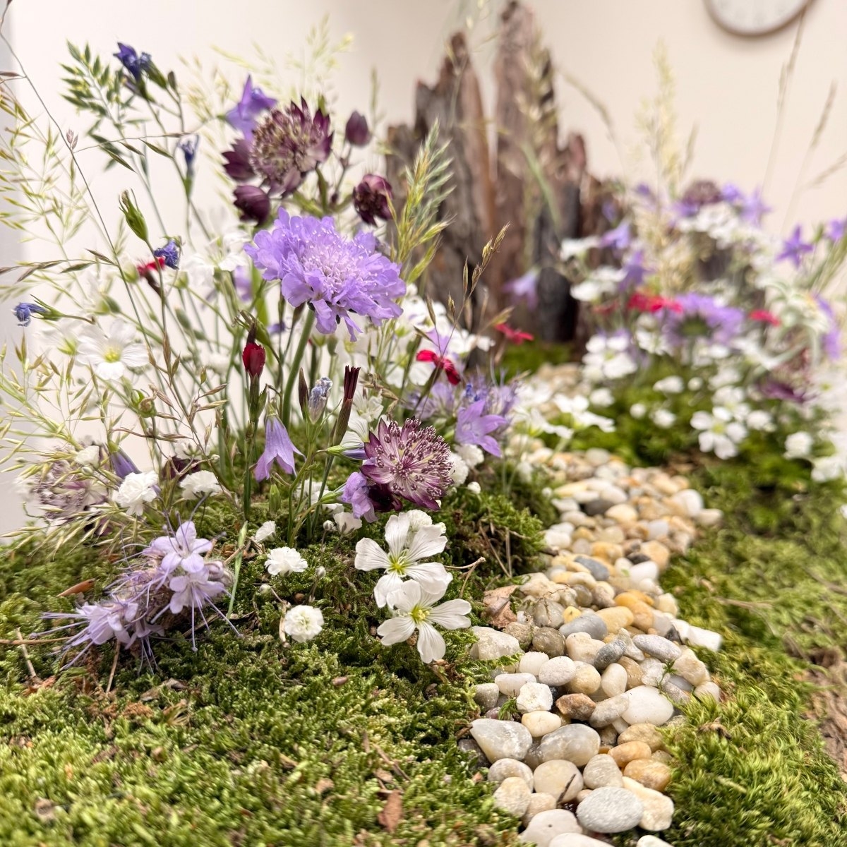 ČELEDÍN PRÉMIUM – Signature program Flower Academy, Ostrava, 9. 11. - 4. 12. 2026