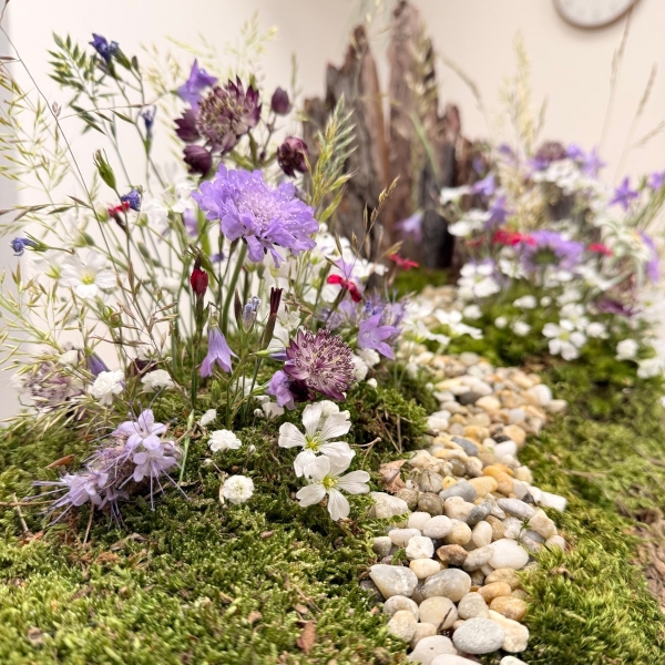ČELEDÍN PRÉMIUM – Signature program Flower Academy, Ostrava, 9. 11. - 4. 12. 2026