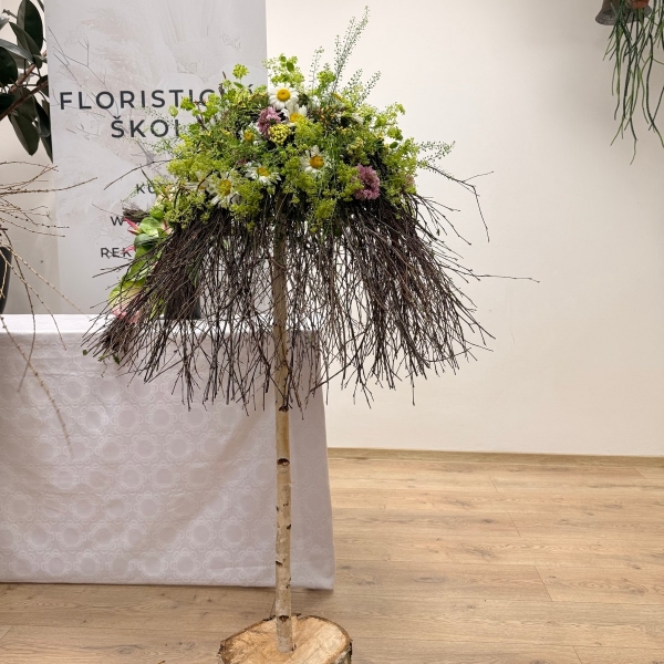 ČELEDÍN PRÉMIUM – Signature program Flower Academy, Ostrava, 9. 11. - 4. 12. 2026