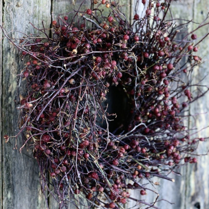 Techniky věncových korpusů, Ostrava, 1. 12. 2025